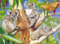 Rompecabezas Koalas on a tree