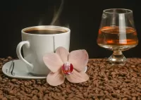 Zagadka Coffee and cognac