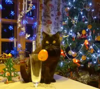 Puzzle Cocktail for the cat