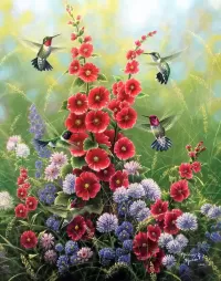 Jigsaw Puzzle Hummingbird at the flowers