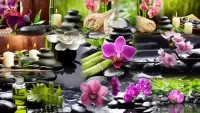 Jigsaw Puzzle Collage of orchids
