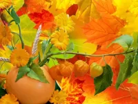 Jigsaw Puzzle Autumn collage