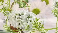 Jigsaw Puzzle Collage with snowdrop