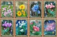 パズル Collage of flowers