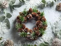 Puzzle The prickly wreath