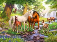 Puzzle Horses