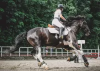 Zagadka Horseback Riding