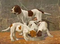 Puzzle Feeding puppies
