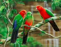 Слагалица Royal parrots