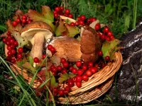 Jigsaw Puzzle Basket with mushrooms