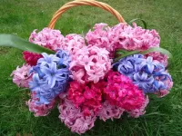 Bulmaca Basket of flowers 1
