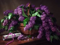 Quebra-cabeça Lilac