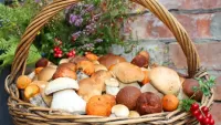 Bulmaca Basket with mushrooms
