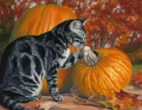 Quebra-cabeça Cat and pumpkin