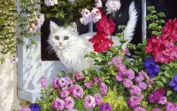 Zagadka Cat and flowers