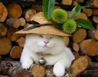 Пазл Кошка в шляпке