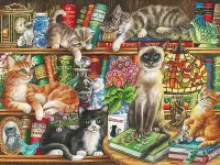 Пазл Кошки и книги