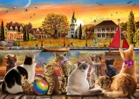 Jigsaw Puzzle Cat on the shore