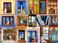 Jigsaw Puzzle Cats on the windows