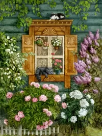 Jigsaw Puzzle Cats on window