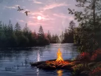 Bulmaca Bonfire on the shore
