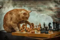Bulmaca Grandmaster in chess