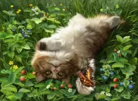 Пазл Кот и бабочка
