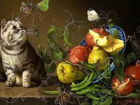 Puzzle Kot i frukti