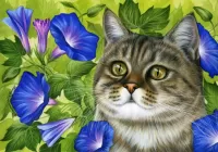 Zagadka Cat and flowers