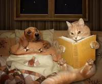 Rompicapo Cat and dog