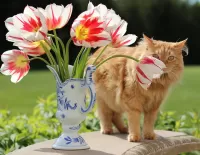 Jigsaw Puzzle cat and tulips