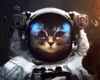 Rompecabezas Cat astronaut