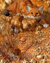 Puzzle Cat on the hunt