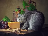 Puzzle Raw food cat