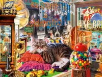Jigsaw Puzzle The cat in the shop