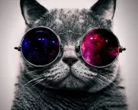 Слагалица Cat in glasses