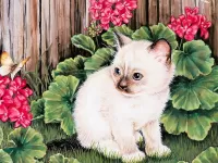Jigsaw Puzzle Kitten and butterfly