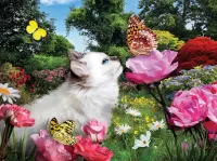 Rompicapo Kitten and butterfly
