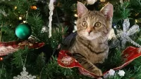 Quebra-cabeça Kitten and Christmas tree