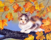 Quebra-cabeça Kitten on the tree