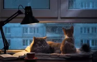 Jigsaw Puzzle Cats and rain