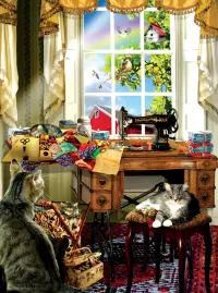Jigsaw Puzzle Cats in a suburban house