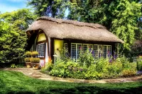 Slagalica Cottage in Holland