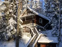 Quebra-cabeça Cottage in winter