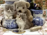 Слагалица Kittens