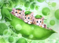 Jigsaw Puzzle Kittens and peas
