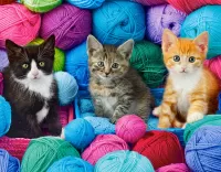 Quebra-cabeça Kittens and yarn
