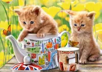 Puzzle Kittens and set
