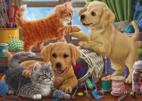 Puzzle Kittens and puppies