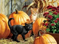 Jigsaw Puzzle Kittens and pumpkins